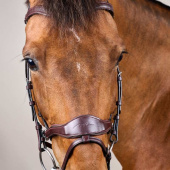 Hoofdstel D Motion New English Collection Bruin Hoofdstel D Motion New English Collection Bruin
