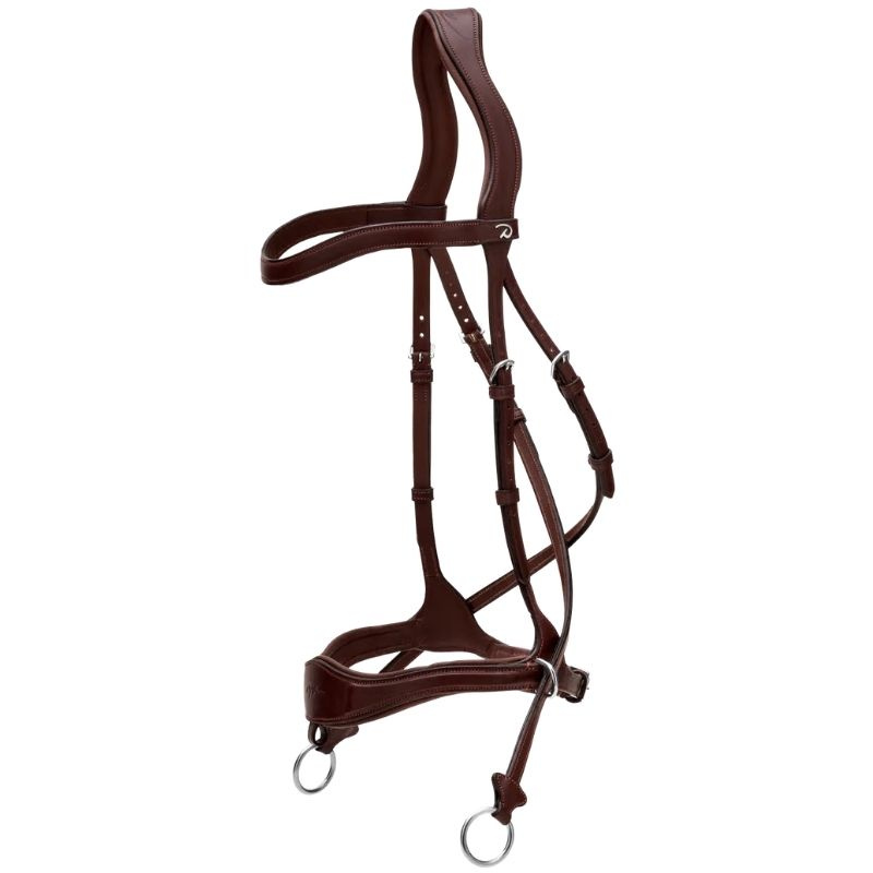 Hoofdstel D Motion New English Collection Bruin