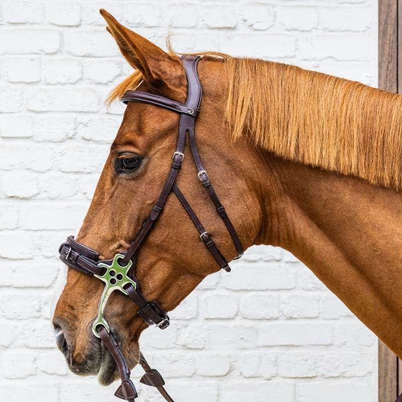 Hoofdstel Hackamore NE Bruin