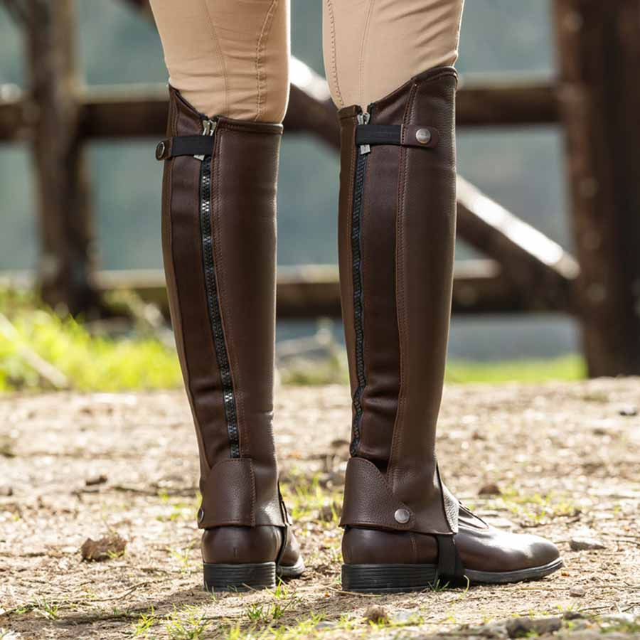Chaps Classic Bruin