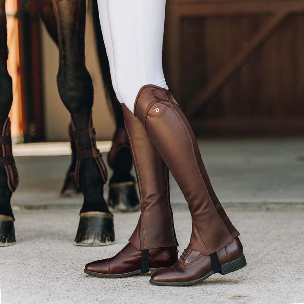 Chaps Classic Show Bruin