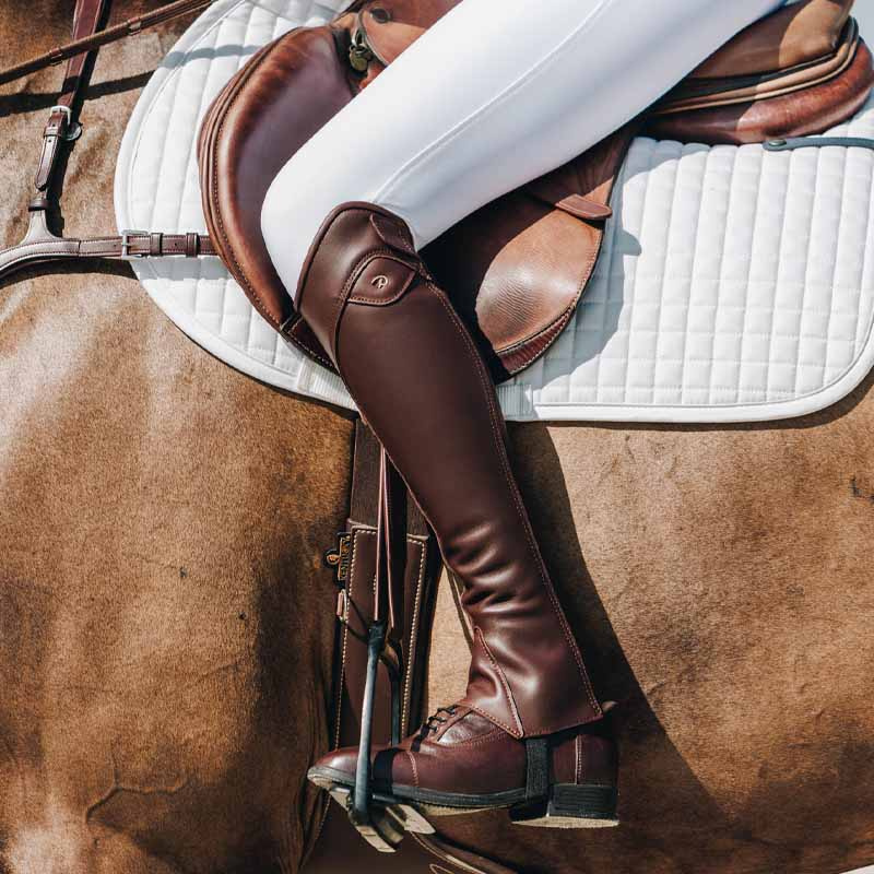 Chaps Classic Show Bruin