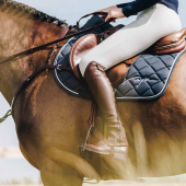 Chaps Classic Comfort Bruin Chaps Classic Comfort Bruin