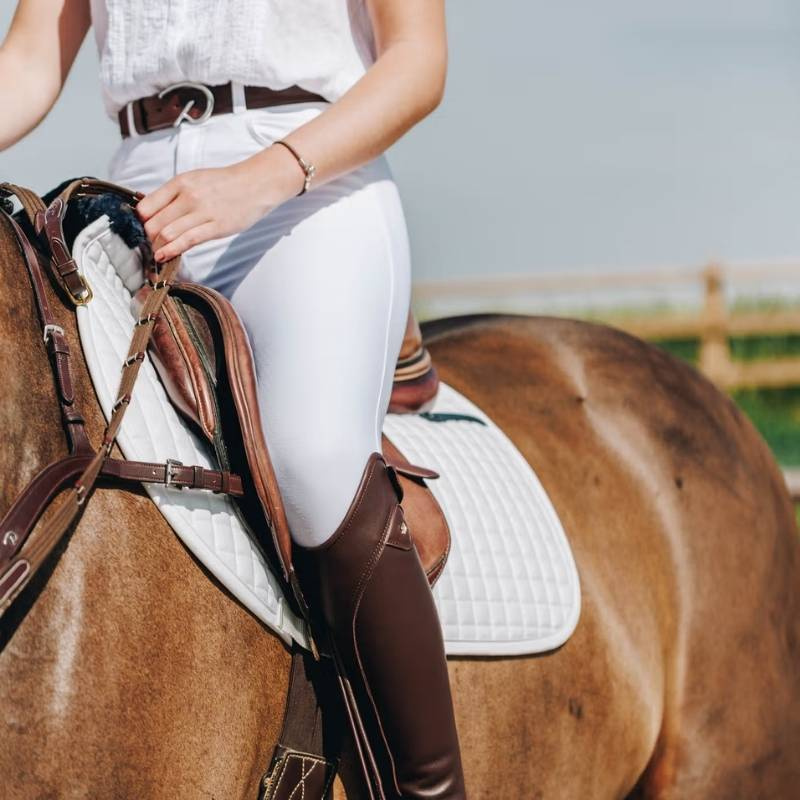 Leren riem Classic D Bruin