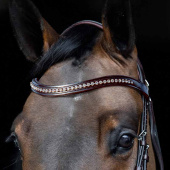 Frontriem Strass U-vorm Bruin Frontriem Strass U-vorm Bruin