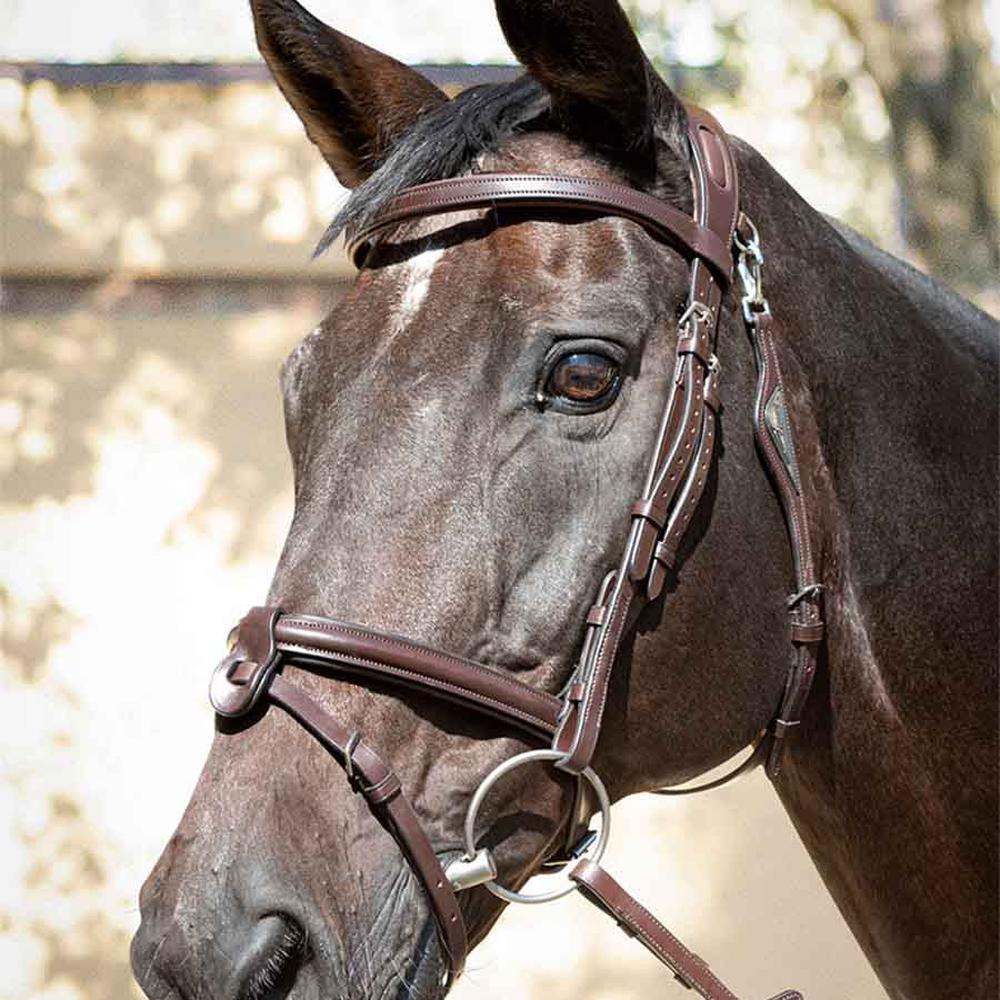 Hoofdstel Ready To Ride Bruin