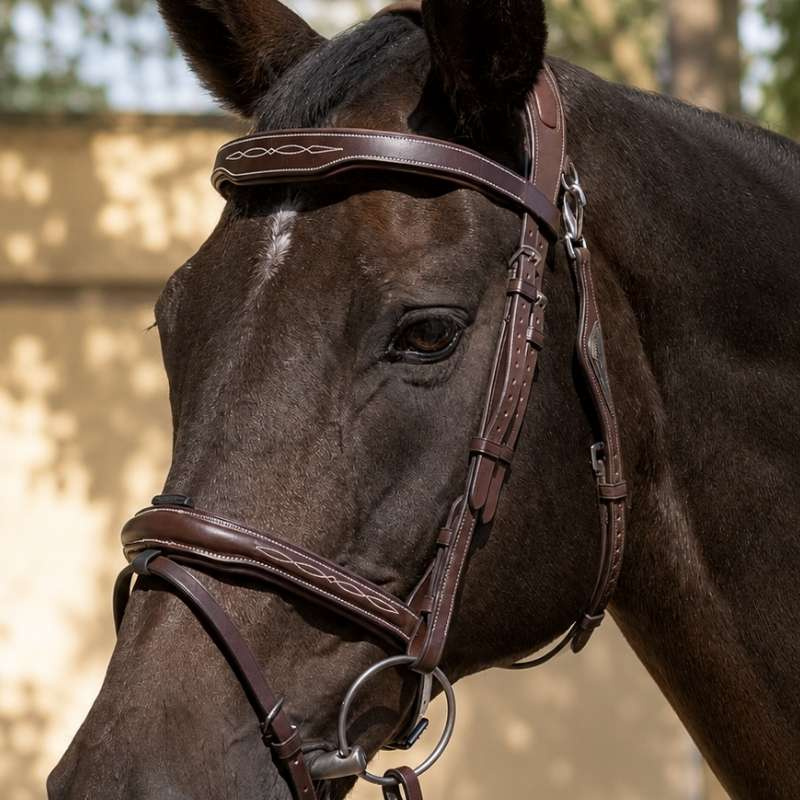 Hoofdstel Ready To Ride met Patroonstiksel Bruin