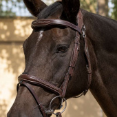 Hoofdstel Ready To Ride met Patroonstiksel Bruin Hoofdstel Ready To Ride met Patroonstiksel Bruin