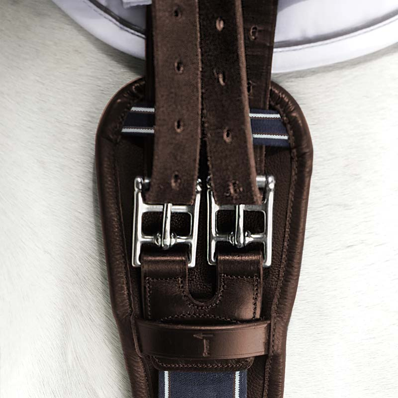 Dressuursingel Micklem Comfort Bruin