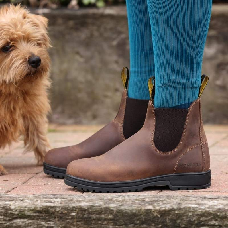 Stalschoenen Ettore Bruin