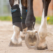 Beenbeschermers Neopreen Zwart Beenbeschermers Neopreen Zwart