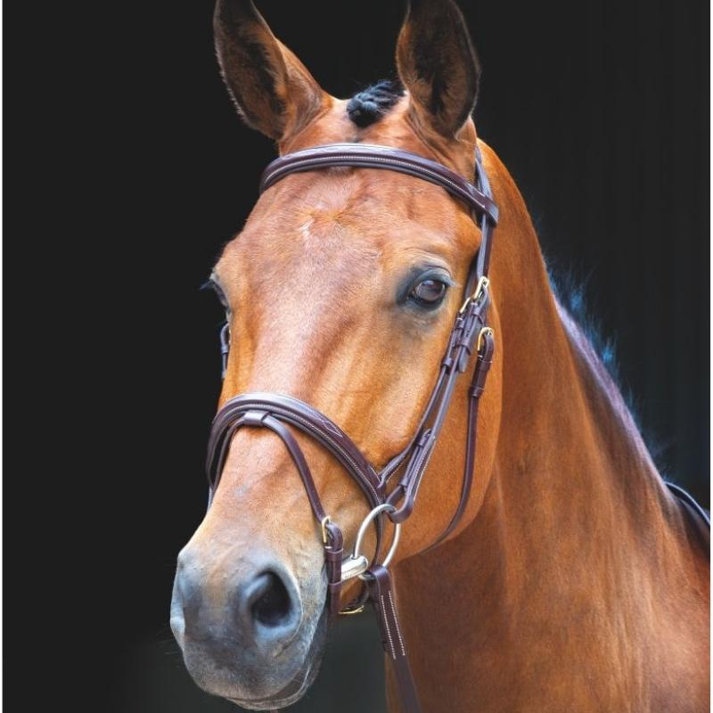 Hoofdstel + Teugels Salisbury Bodenham Bruin