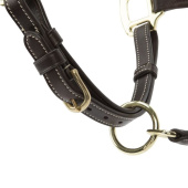 Lederen halster LUSSO Lorca Bruin Lederen halster LUSSO Lorca Bruin