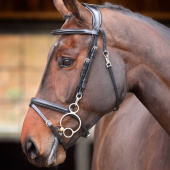 Hoofdstel Quick Release Rapida Zwart Hoofdstel Quick Release Rapida Zwart
