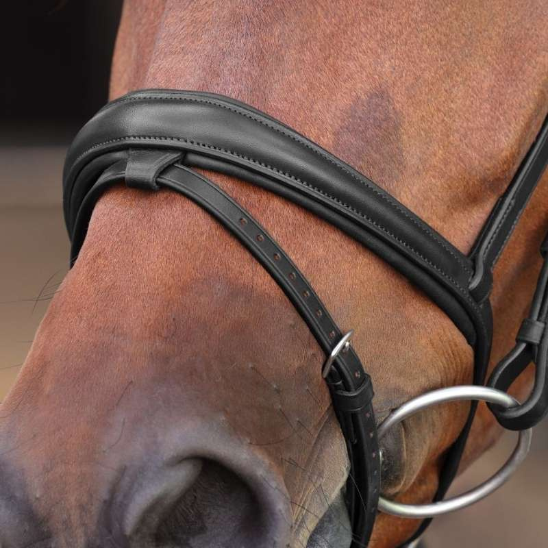 Hoofdstel LUSSO Elite Zwart