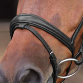 Hoofdstel LUSSO Elite Zwart Hoofdstel LUSSO Elite Zwart