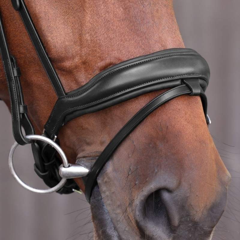 Dressuurhoofdstel LUSSO Elite Zwart