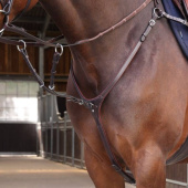 Borsttuig met Martingaal LUSSO Elite Bruin Borsttuig met Martingaal LUSSO Elite Bruin