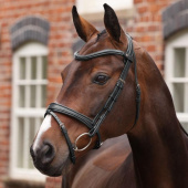 Hoofdstel Gevoerde Neusriem LUSSO Opus 180M Zwart Hoofdstel Gevoerde Neusriem LUSSO Opus 180M Zwart