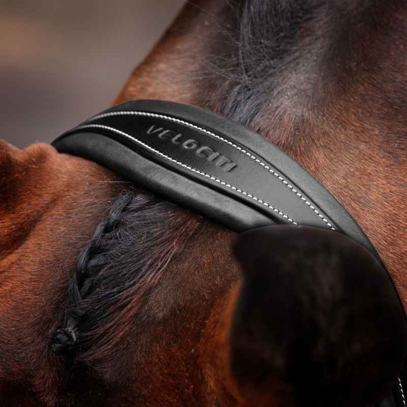 Hoofdstel Gevoerde Neusriem LUSSO Opus 180M Zwart