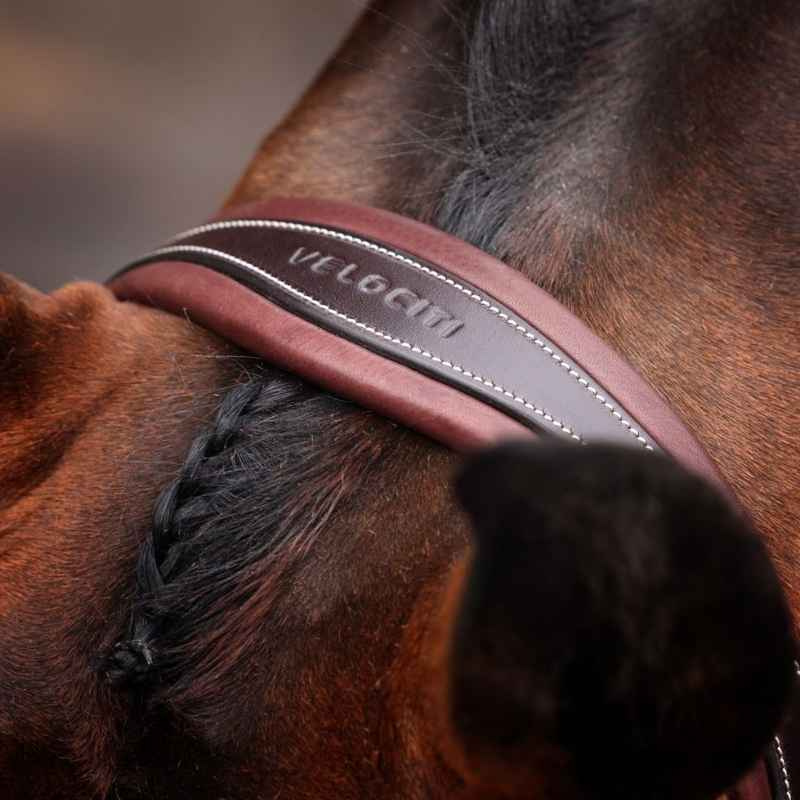 Hoofdstel Gevoerde Neusriem LUSSO Opus 180M Bruin