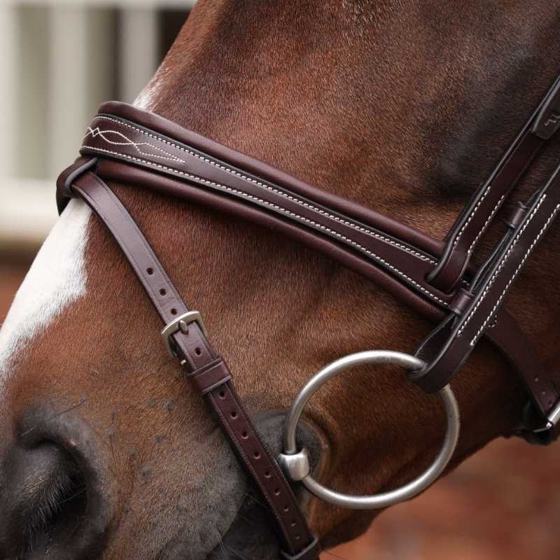 Hoofdstel Gevoerde Neusriem LUSSO Opus 180M Bruin