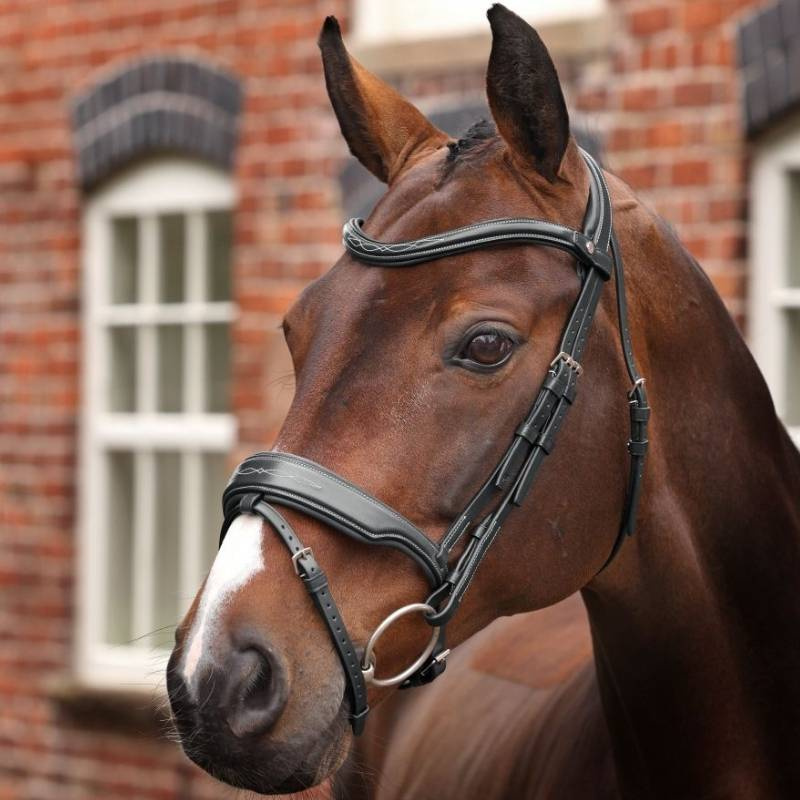 Hoofdstel Brede Neusriem LUSSO Opus 180M Zwart