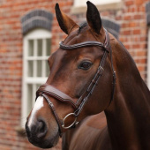 Hoofdstel Brede Neusriem LUSSO Opus 180M Bruin Hoofdstel Brede Neusriem LUSSO Opus 180M Bruin