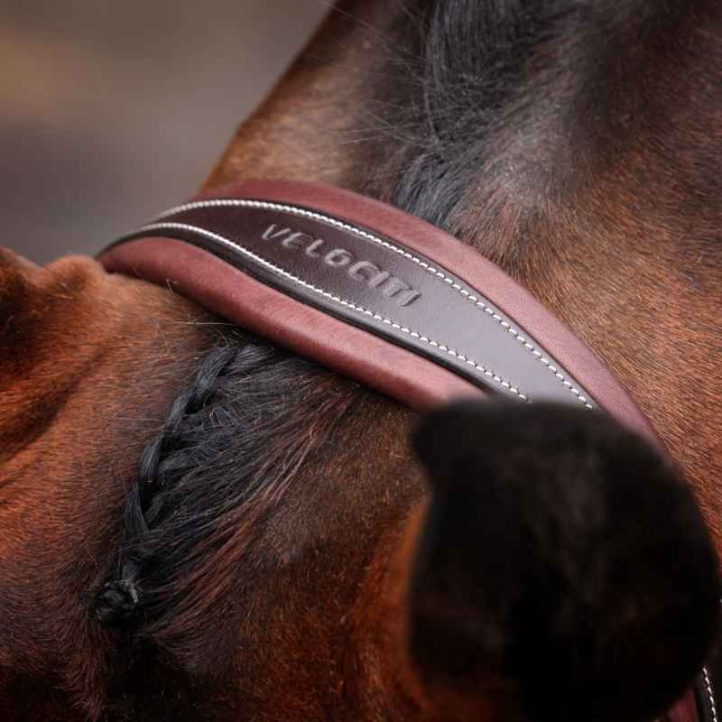 Hoofdstel Brede Neusriem LUSSO Opus 180M Bruin