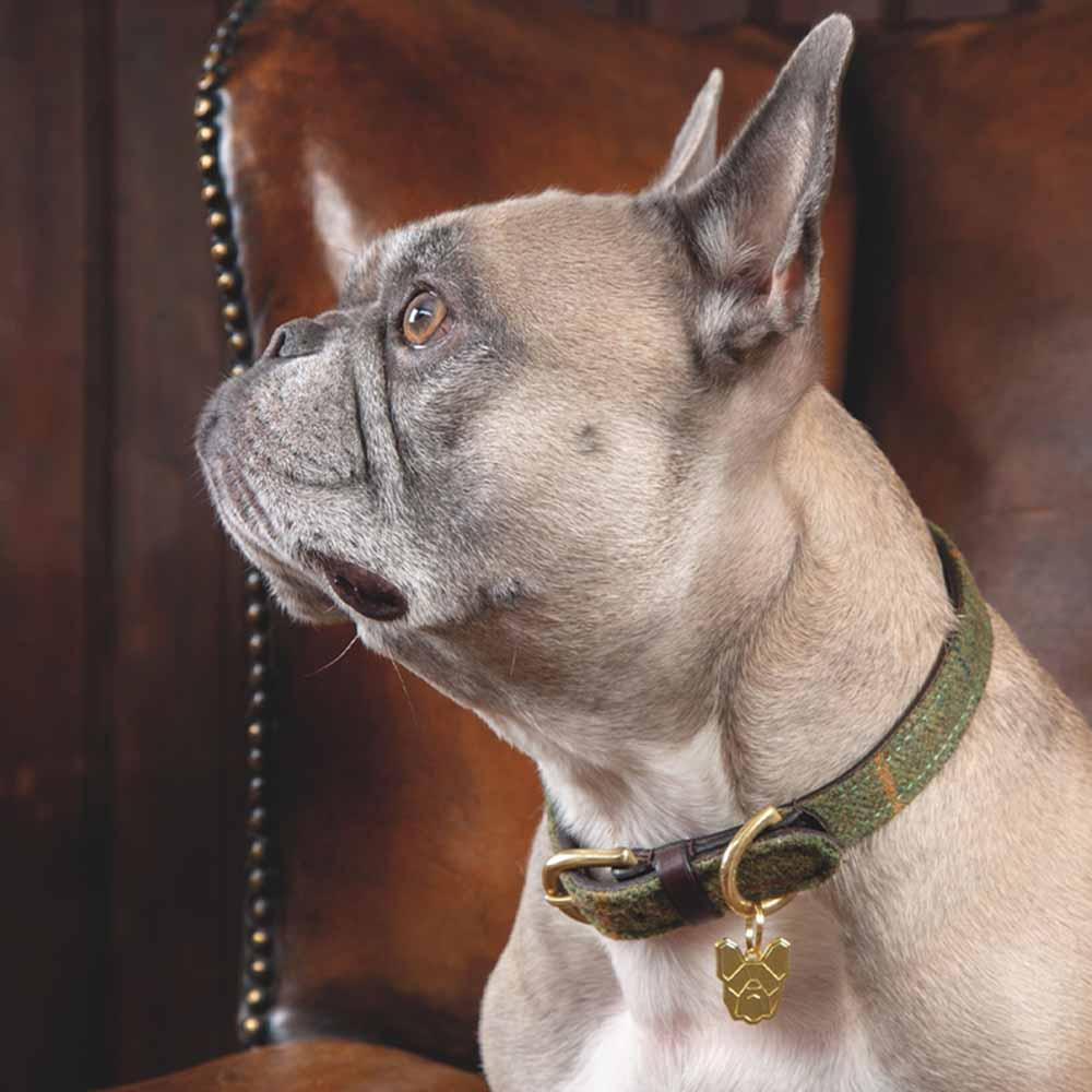 Hondenhalsband Tweed/Leer Groen
