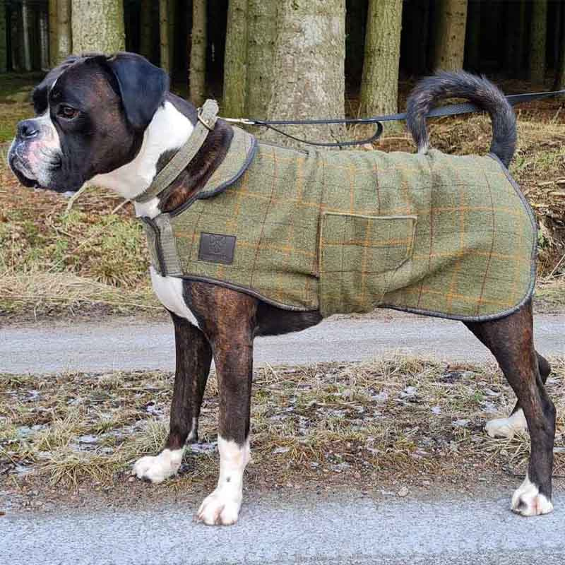 Hondendeken Tweed Groen