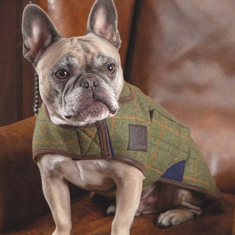 Hondendeken Tweed Groen