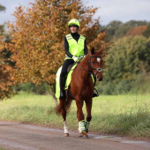 Uitrijdeken Mesh Reflector Geel Uitrijdeken Mesh Reflector Geel