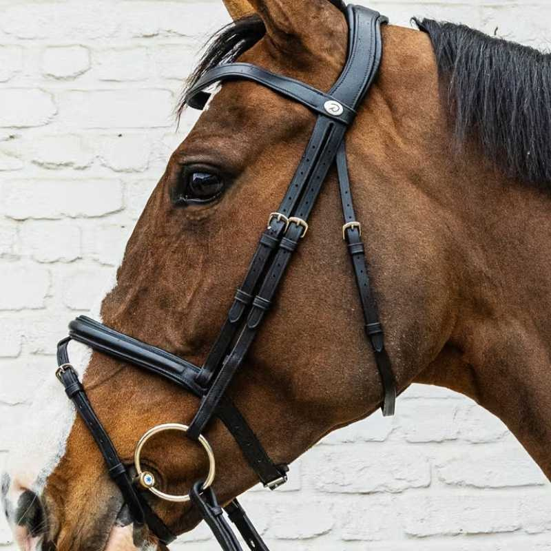 Hoofdstel Gecombineerde Neusriem Soft Collection Zwart