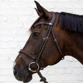 Hoofdstel Gecombineerde Neusriem Soft Collection Bruin Hoofdstel Gecombineerde Neusriem Soft Collection Bruin