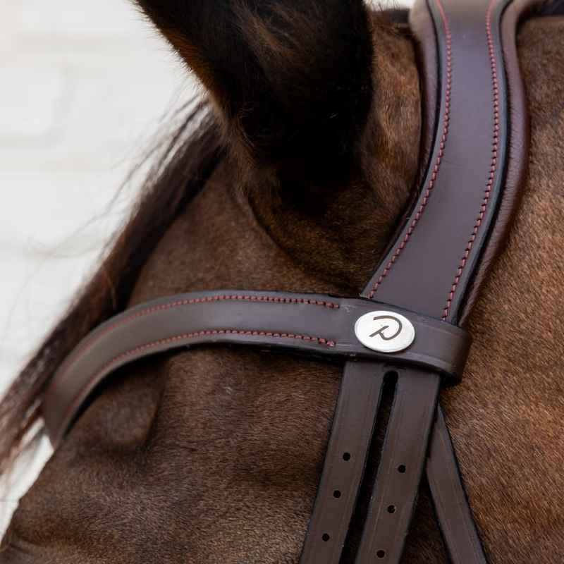 Hoofdstel Gecombineerde Neusriem Soft Collection Bruin