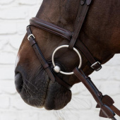 Hoofdstel Gecombineerde Neusriem Soft Collection Bruin Hoofdstel Gecombineerde Neusriem Soft Collection Bruin