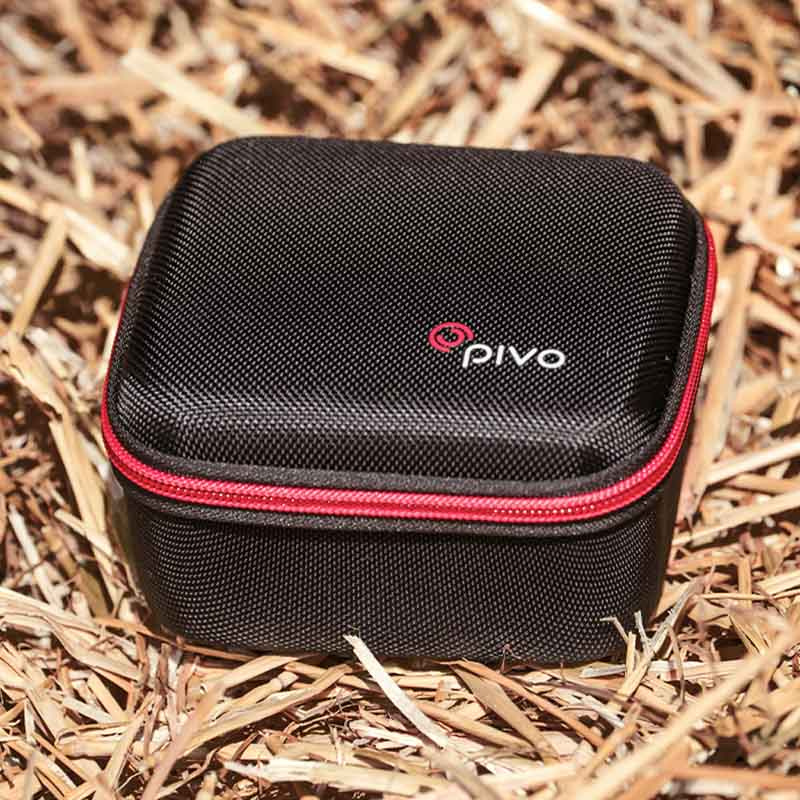 Travel Case Mini voor Pivo Pod Zwart