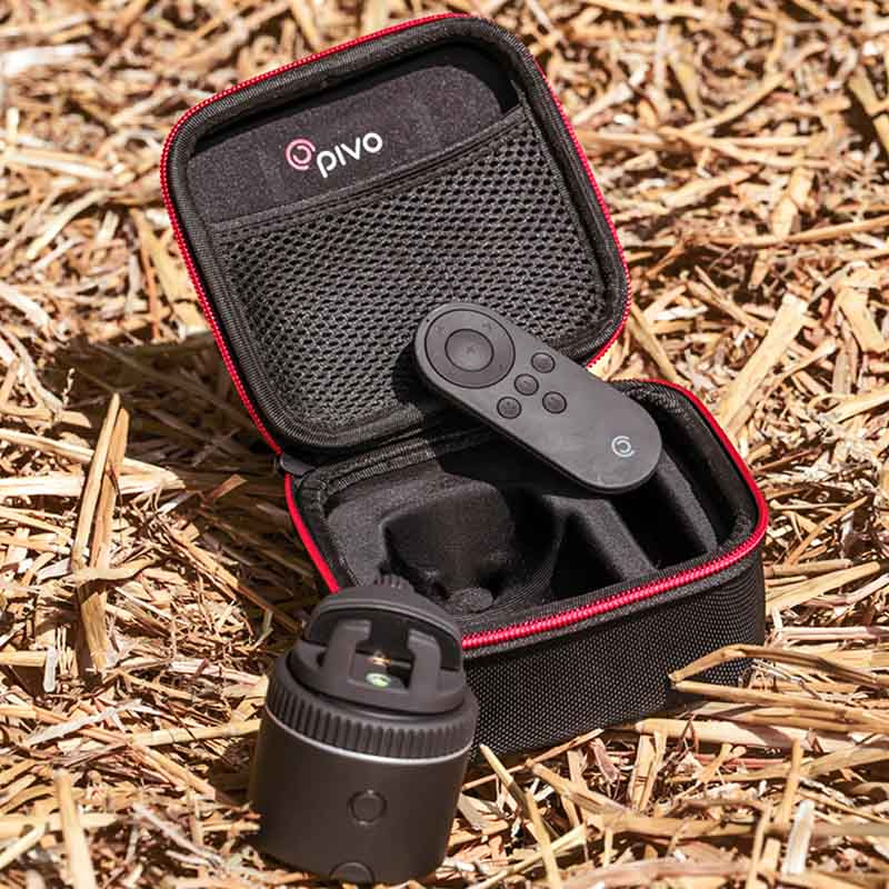 Travel Case Mini voor Pivo Pod Zwart