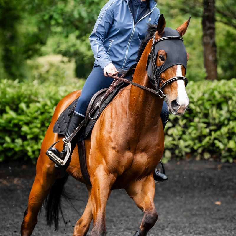 Kalmerende Oornetje Ionic Zwart