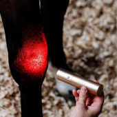 Therapielamp LED Red Light Therapy Wand Therapielamp LED Red Light Therapy Wand