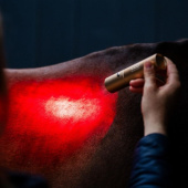Therapielamp LED Red Light Therapy Wand Therapielamp LED Red Light Therapy Wand