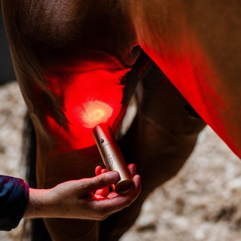 Therapielamp LED Red Light Therapy Wand