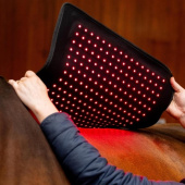 Therapypad LED Red Light Therapy Zwart Therapypad LED Red Light Therapy Zwart