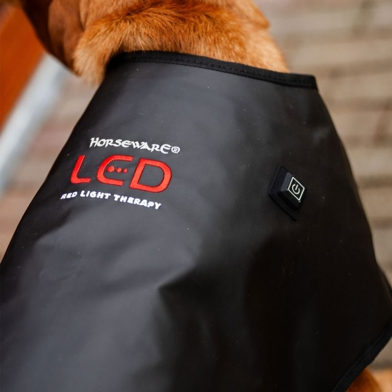 Therapiedeken Hond LED Red Light Therapy Zwart 
