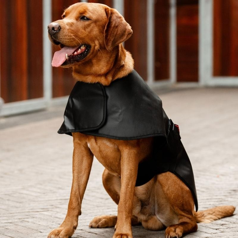 Therapiedeken Hond LED Red Light Therapy Zwart 