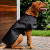 Therapiedeken Hond LED Red Light Therapy Zwart Therapiedeken Hond LED Red Light Therapy Zwart