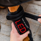 Therapieverband Hond LED Red Light Therapy Zwart Therapieverband Hond LED Red Light Therapy Zwart