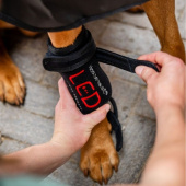 Therapieverband Hond LED Red Light Therapy Zwart Therapieverband Hond LED Red Light Therapy Zwart