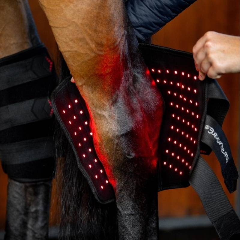 Therapiebeschermers Spronggewricht LED Red Light Therapy 